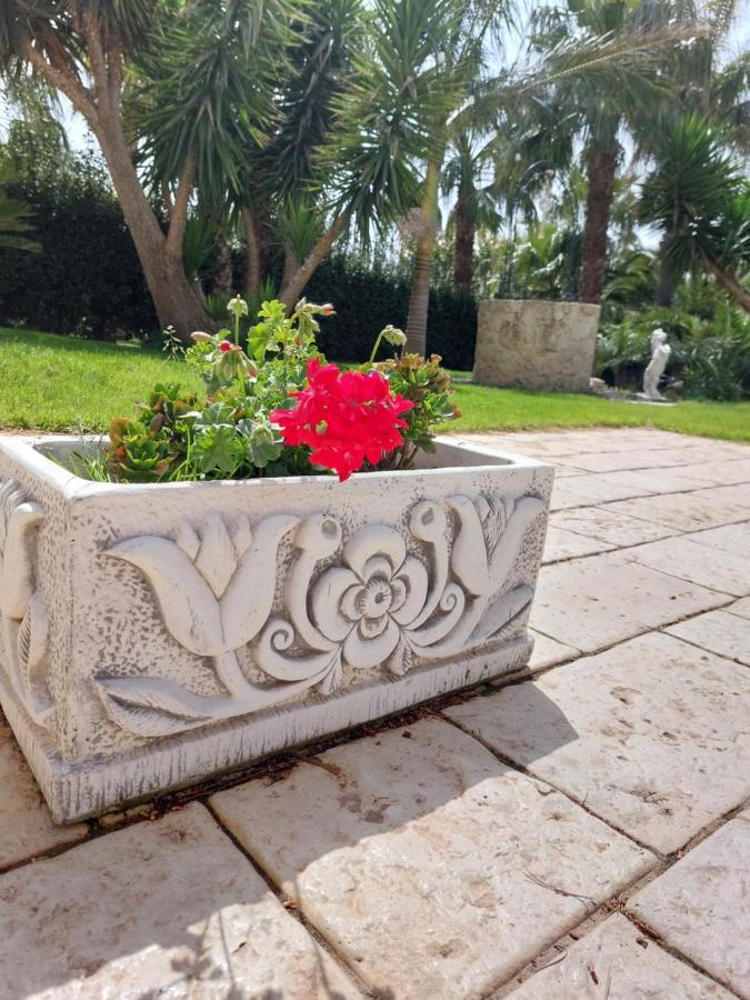 פלמה די מונטקיארו Tenuta Costa מראה חיצוני תמונה